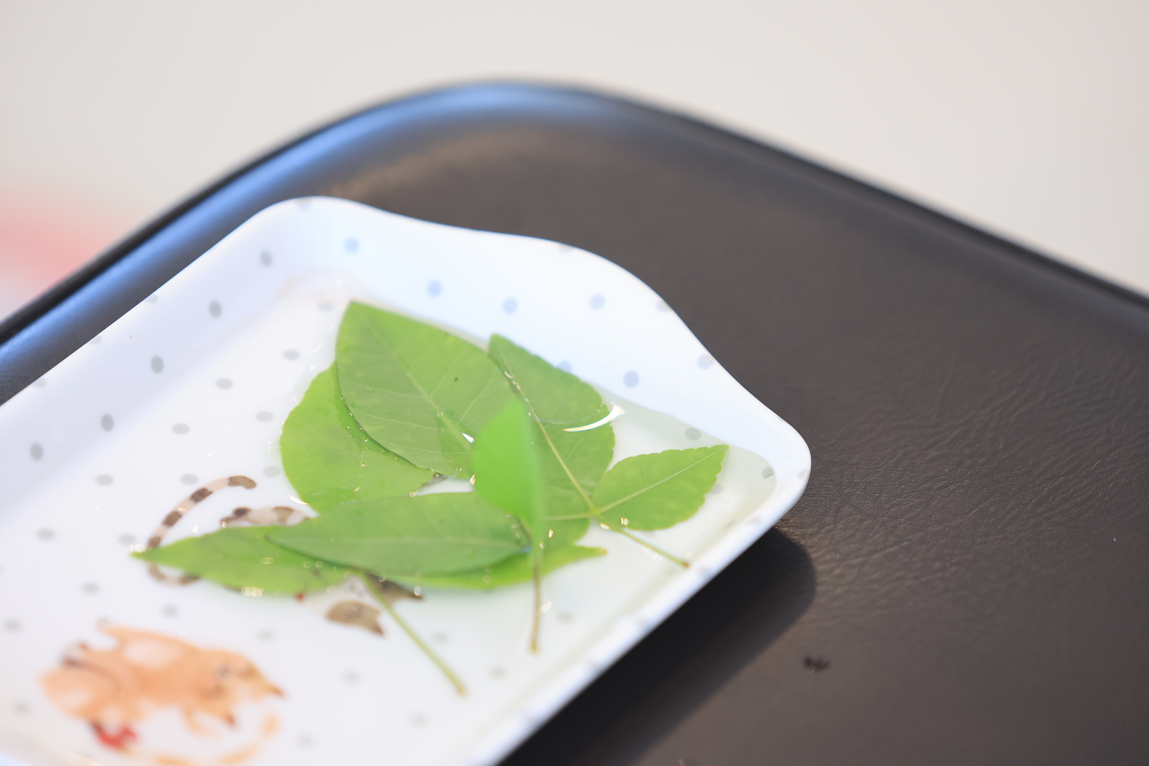 title - ส.ป.ก. ร่วมฝึกซ้อมริ้วขบวนอิสริยยศ ในพระราชพิธีพืชมงคลจรดพระนังคัลแรกนาขวัญ ประจำปี 2569 (ซ้อมกรณีพิเศษ ครั้งที่ 2)